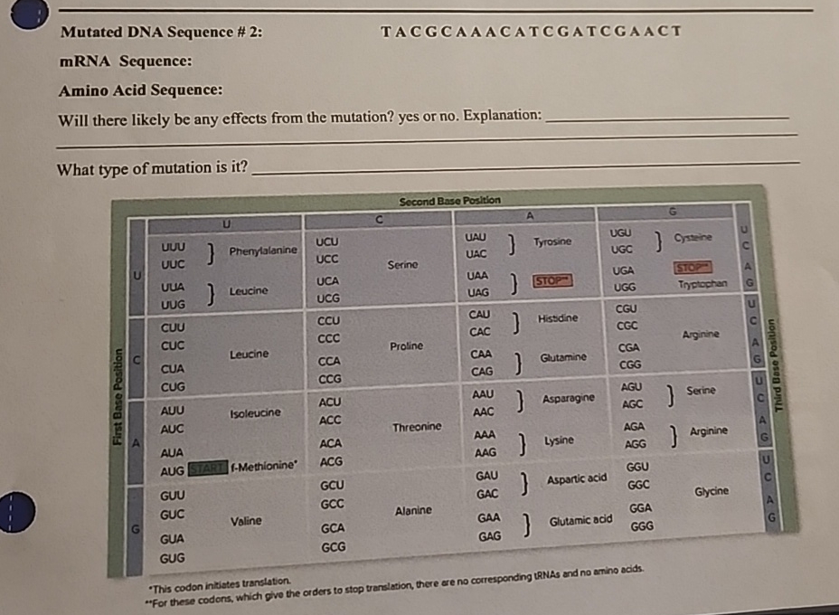 Solved Mutated DNA Sequence # 2:T A C G CAA A C A T | Chegg.com