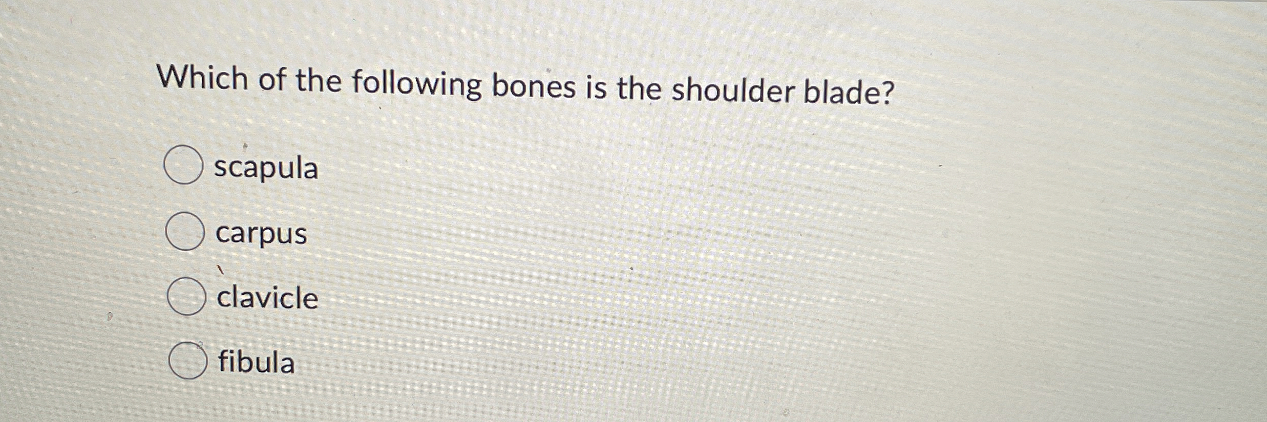 Solved Which of the following bones is the shoulder