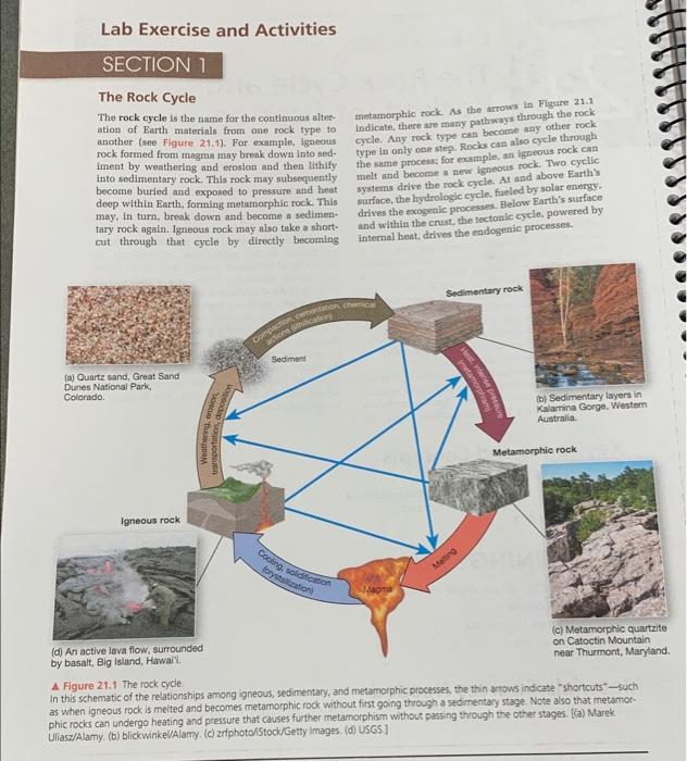 Solved Lab Exercise and Activities SECTION 7 The Rock Cycle
