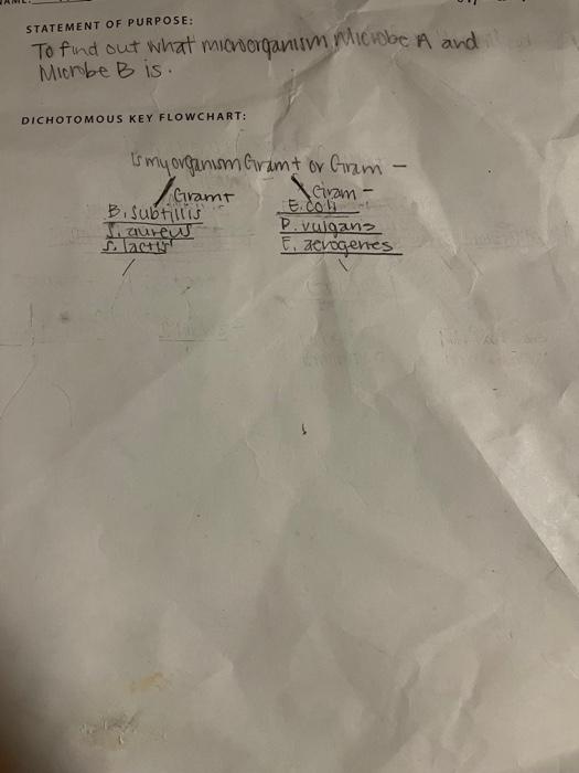 Solved please help draw a dichotomous key using the pdf | Chegg.com