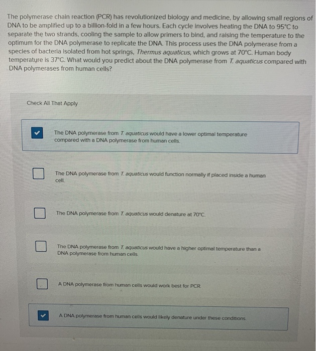 Solved The polymerase chain reaction (PCR) has