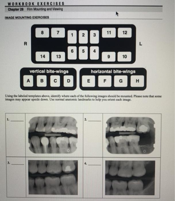 Using the labeled templates above, identify where