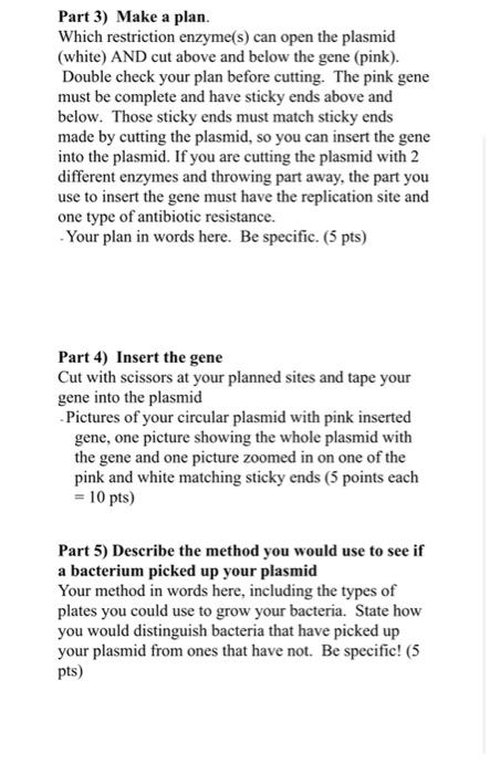 Paper Plasmids Recombinant Dna Technology Continued Chegg Com