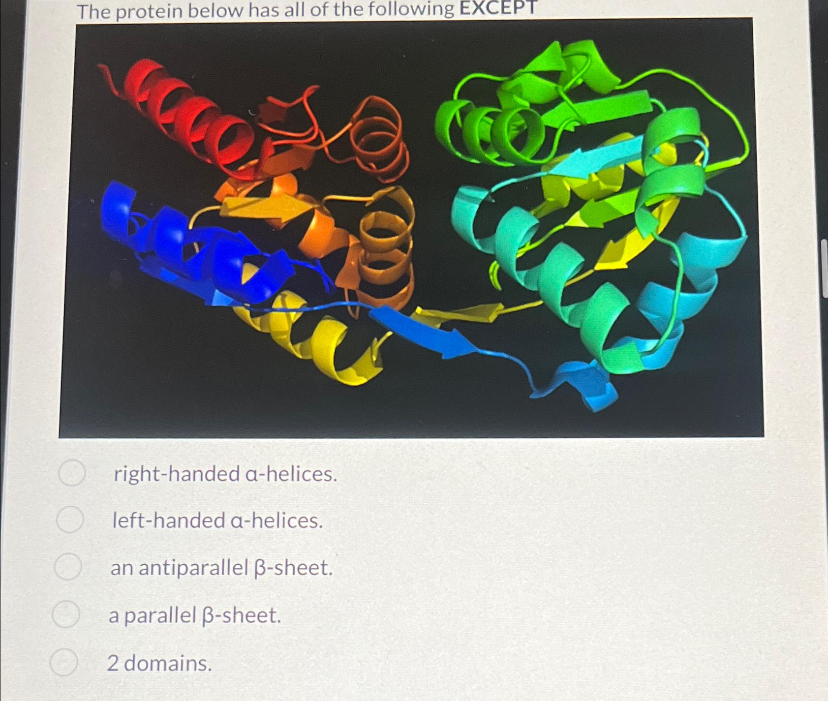 Solved The protein below has all of the following | Chegg.com