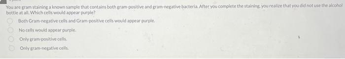 You are gram staining a known sample that contains | Chegg.com