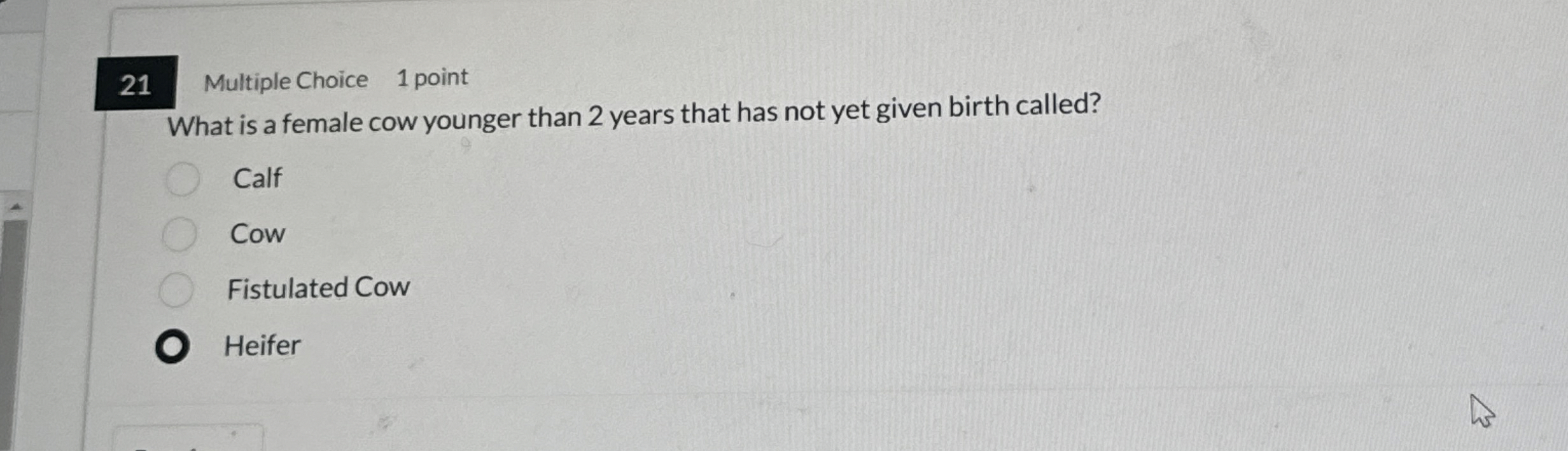 Solved 21 ﻿Multiple Choice 1 ﻿pointWhat is a female cow | Chegg.com