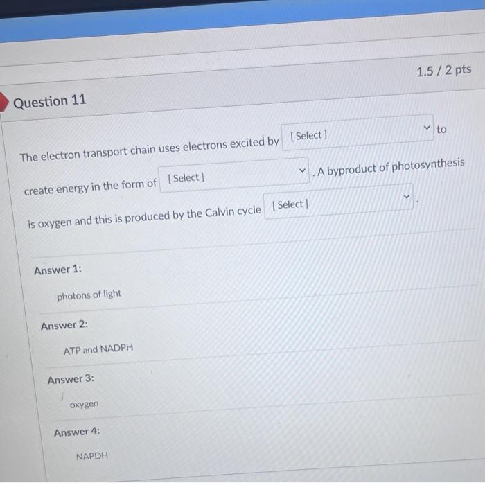 Solved Question 11 1.5/2 pts The electron transport chain | Chegg.com