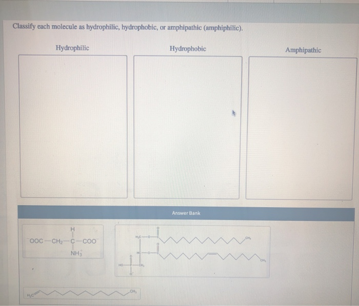 Solved Classify each molecule as hydrophilic, hydrophobic,