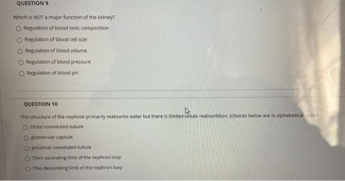 Which Is Not A Major Function Of The Kidney