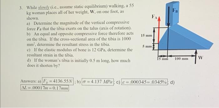 3. While slowly (i.e., assume static equilibrium) walking, a 55 \( \mathrm{kg} \) woman places all of her weight, W, on one f