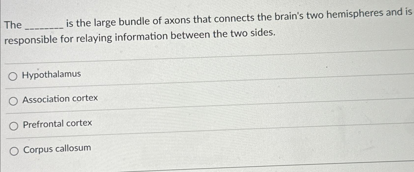 Solved The is the large bundle of axons that connects the | Chegg.com