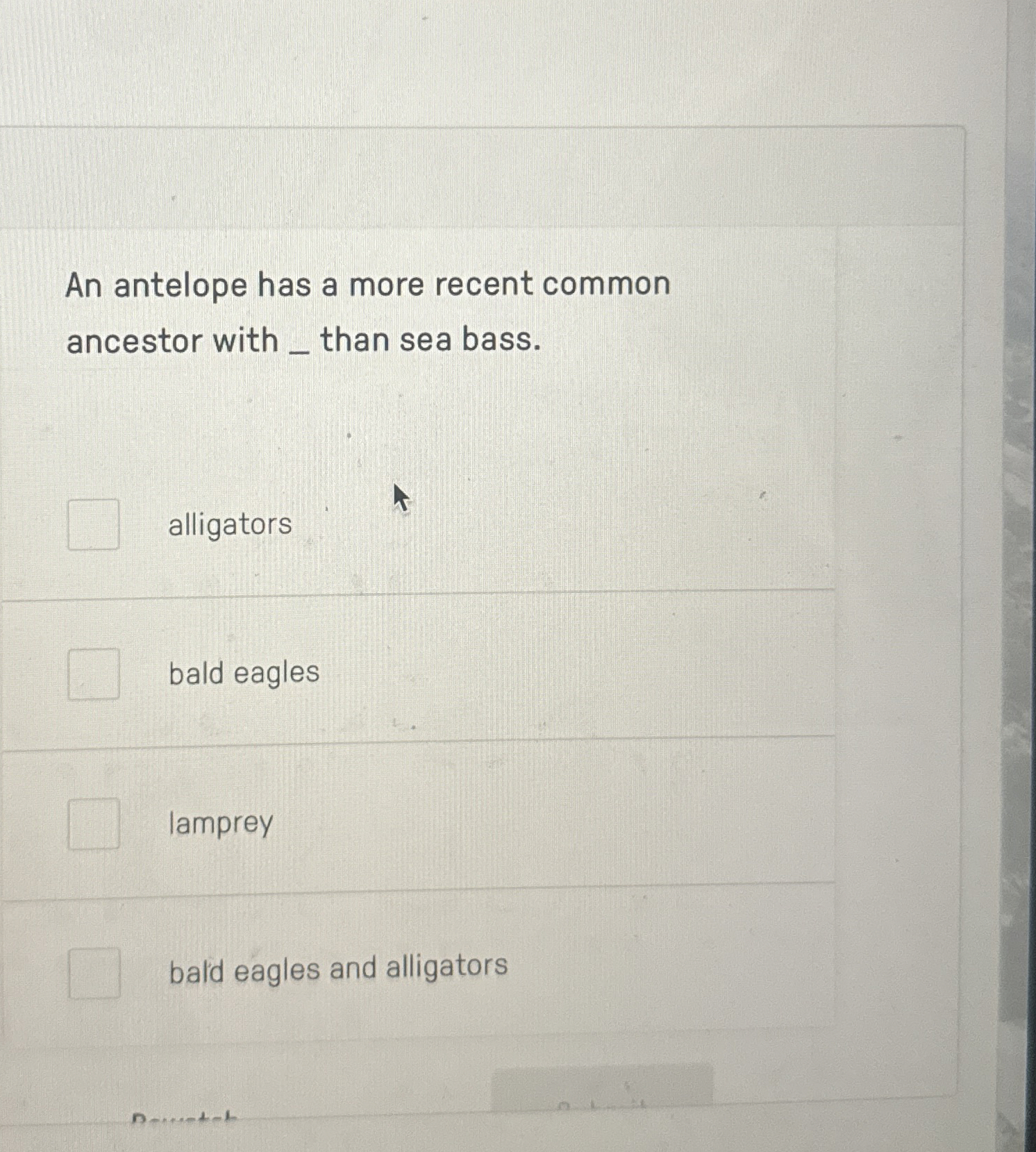 Solved An antelope has a more recent commonancestor with _