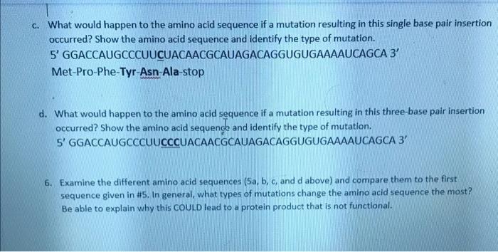 Solved c. What would happen to the amino acid sequence if a | Chegg.com