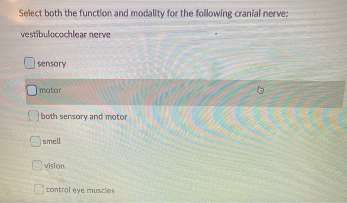 Solved Put the structures in order from superficial to deep. | Chegg.com
