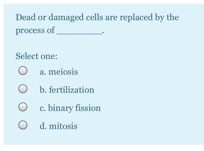 Solved please i need all these multiple choice answer if you | Chegg.com