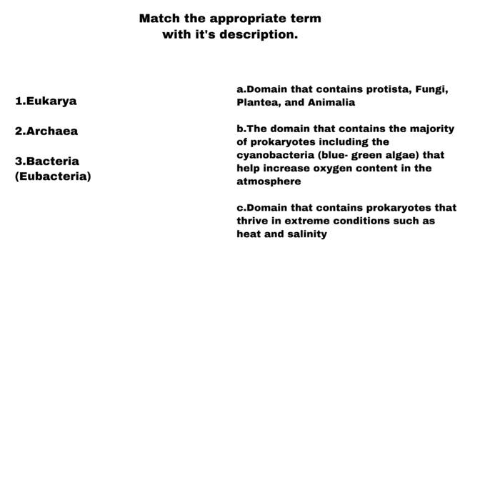 BEST DESCRIPTION MEANING visual data 7