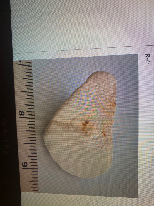 Solved Quiz: Lab 04 - Sedimentary Rocks Question 11 2 pts | Chegg.com