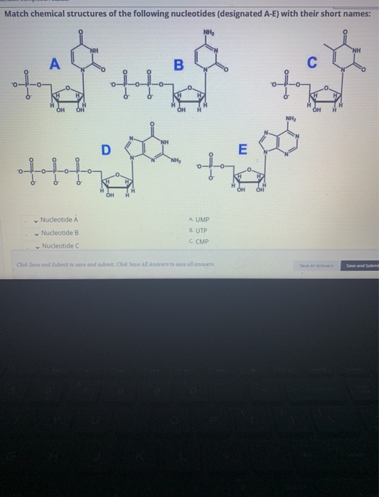Solved Match Chemical Structures Of The Following Chegg Com