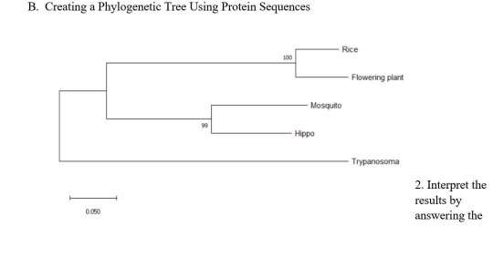 Phylogenetic tree constructed using EMA1 amino acid sequences generated