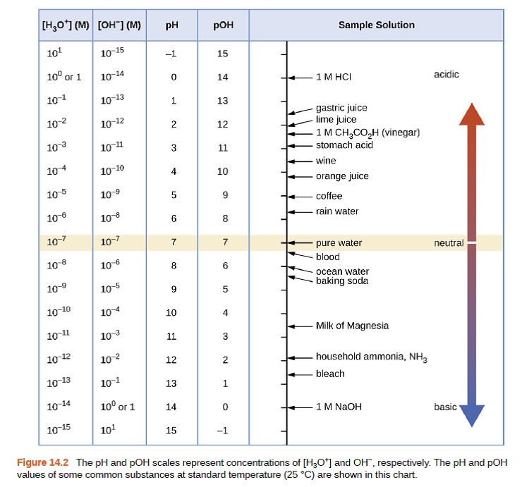 solved-calculate-the-hydrogen-ion-concentration-and-the-hydrox