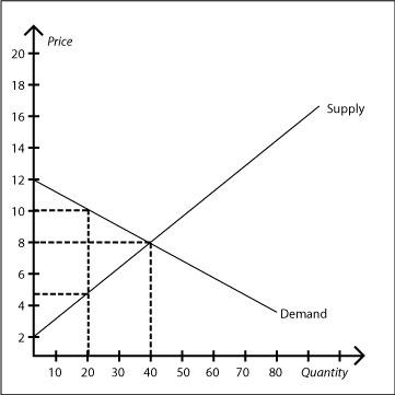 Solved Explain why the graph that is shown verifies the fact | Chegg.com