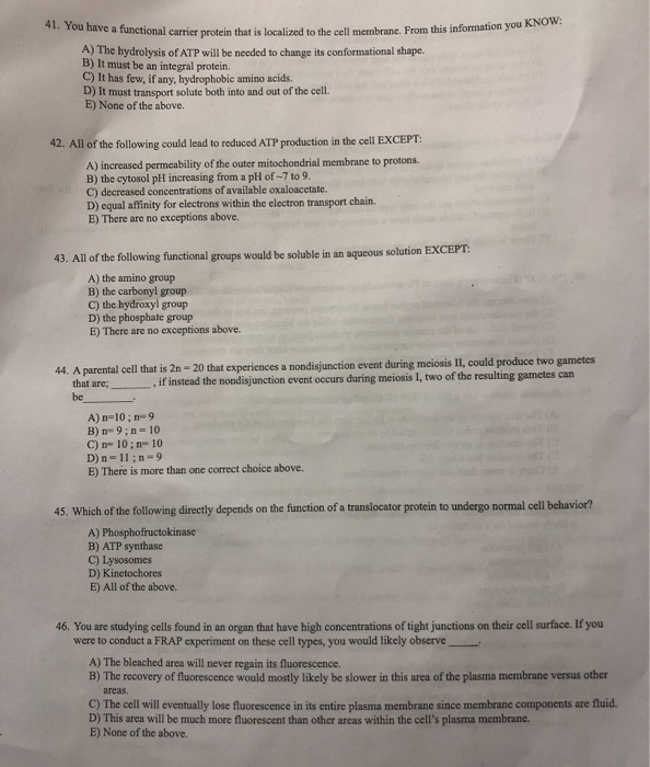 Solved The City University of New York 31. Which of the | Chegg.com