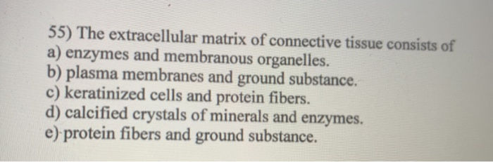Solved 55) The extracellular matrix of connective tissue | Chegg.com
