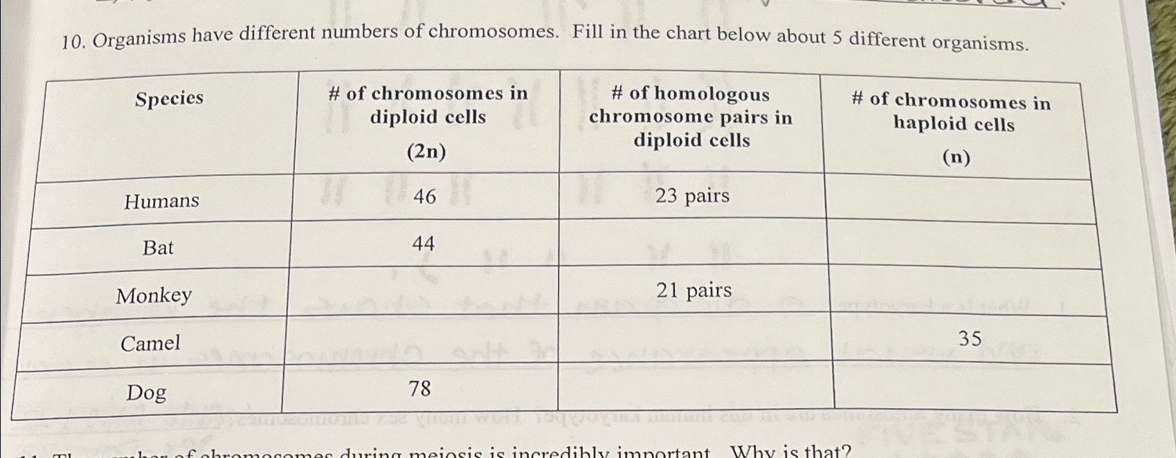 Solved Organisms Have Different Numbers Of Chromosomes Fill