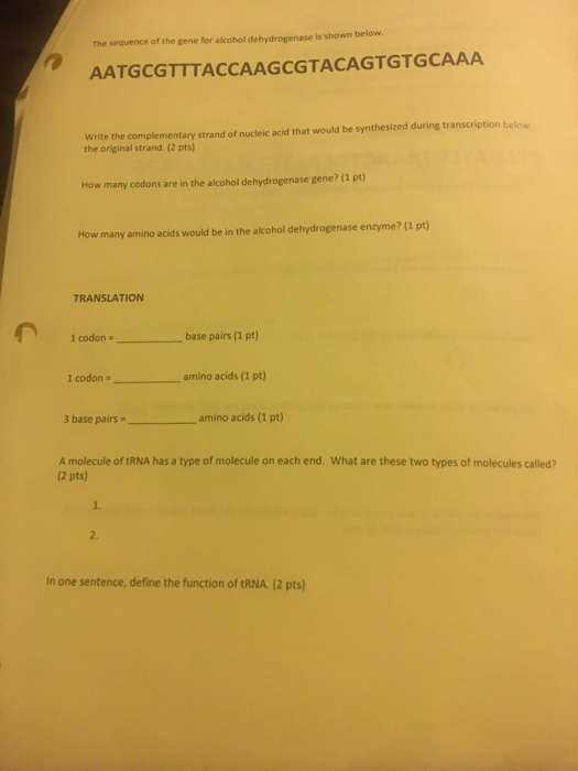 Solved The sequence of the gene for alcohol dehydrogenase is