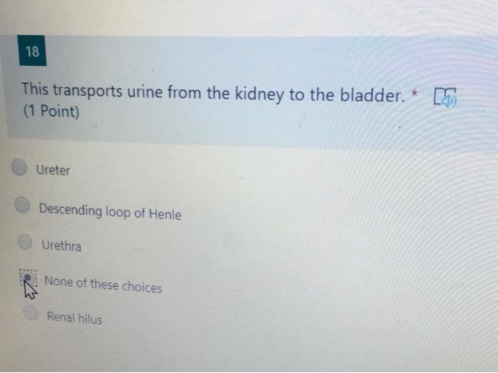 Solved 18 This transports urine from the kidney to the | Chegg.com