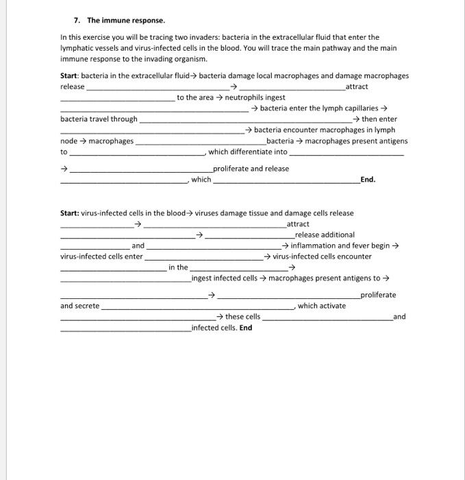 7. The immune response.
In this exercise you will be tracing two invaders: bacteria in the extracellular fluid that enter the