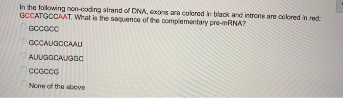 Solved In the following non-coding strand of DNA, exons are | Chegg.com