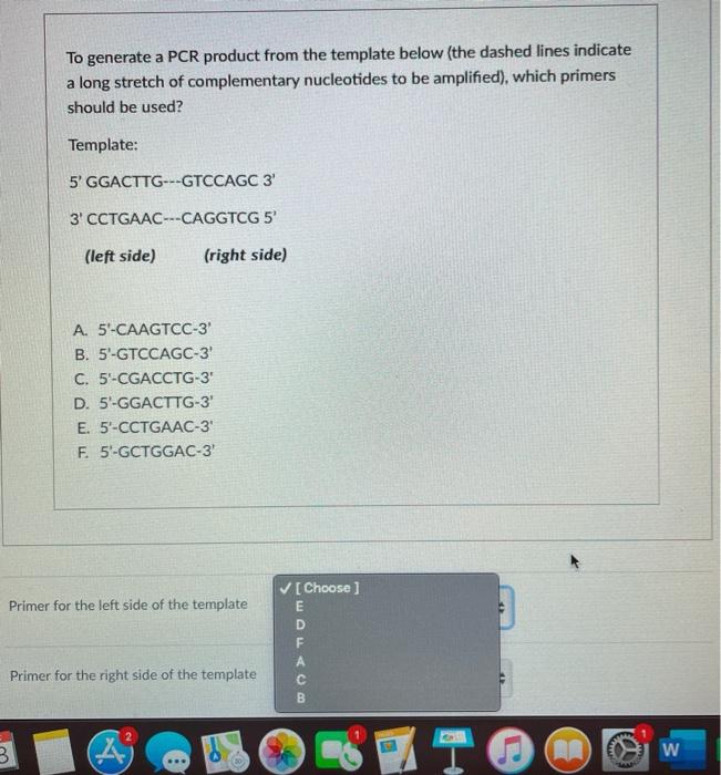 Solved To generate a PCR product from the template below | Chegg.com