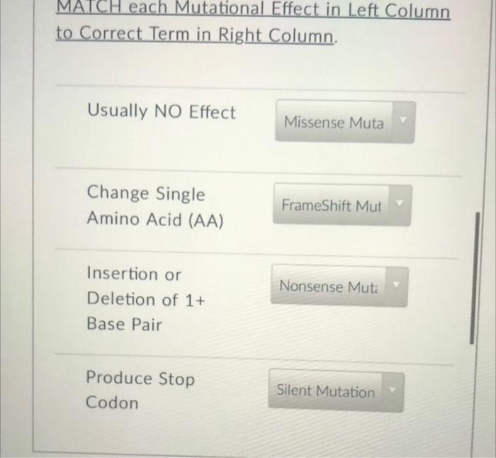 Solved MATCH each Mutational Effect in Left Column to | Chegg.com