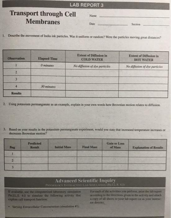 solved lab report 3 transport through cell membranes name chegg com how to write in english pdf