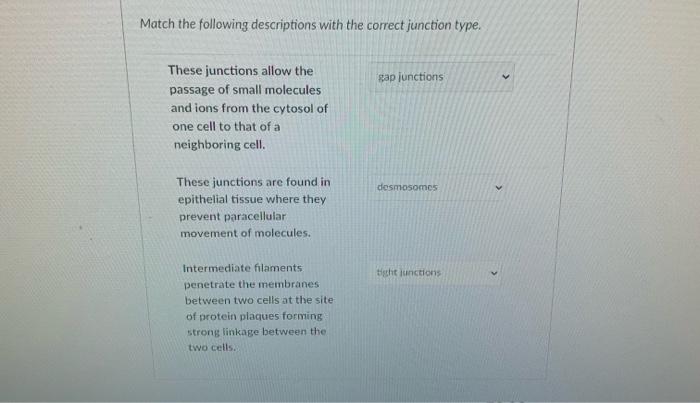Solved Match the following descriptions with the correct | Chegg.com