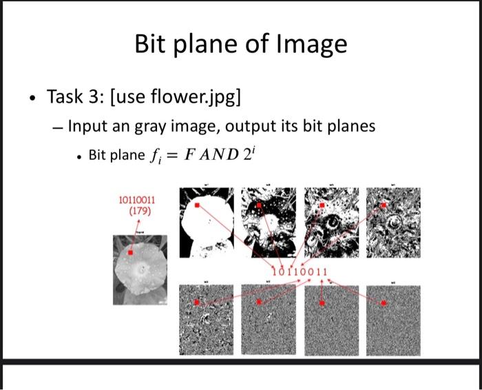 Solved Bit plane of Image Task 3: [use flower.jpg] - Input | Chegg.com