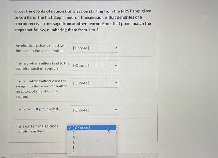 Solved Order the events of neuron transmission starting from | Chegg.com