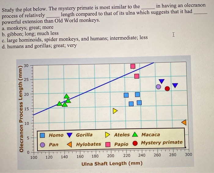 Solved Study The Plot Below. The Mystery Primate Is Most | Chegg.com