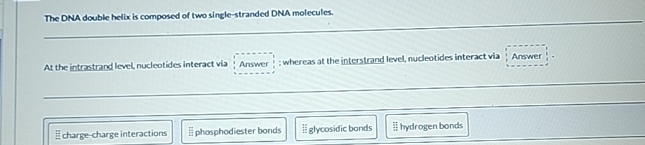 Solved The DNA double helix is composed of two | Chegg.com