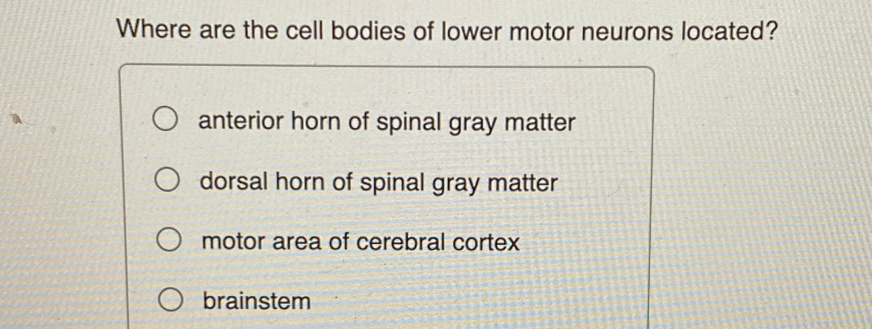 Solved Where are the cell bodies of lower motor neurons | Chegg.com