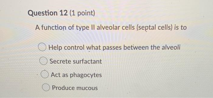 Solved Question 13 (1 point) What is the function of | Chegg.com
