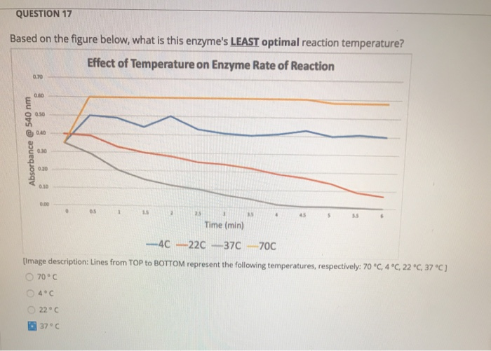 Solved QUESTION 17 Based on the figure below, what is this | Chegg.com