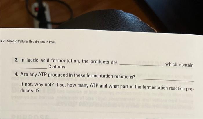 3. In lactic acid fermentation, the products are which contain C atoms.
4. Are any ATP produced in these fermentation reactio