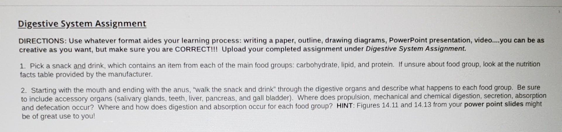 the digestive system assignment