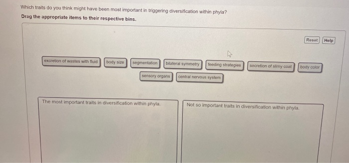 solved-which-traits-do-you-think-might-have-been-most-chegg