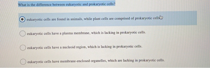 Solved What is the difference between eukaryotic and | Chegg.com