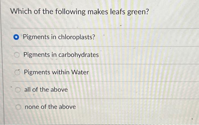 the process of photosynthesis occurs in organelles called blank