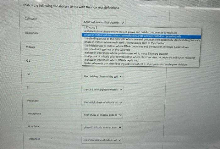 Solved Match the following vocabulary terms with their | Chegg.com