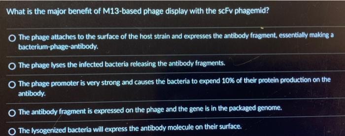 What is the major benefit of M13-based phage display with the scFv phagemid?
The phage attaches to the surface of the host st